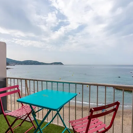 Apartament Les Jeux De Boules 6 Le Pradet